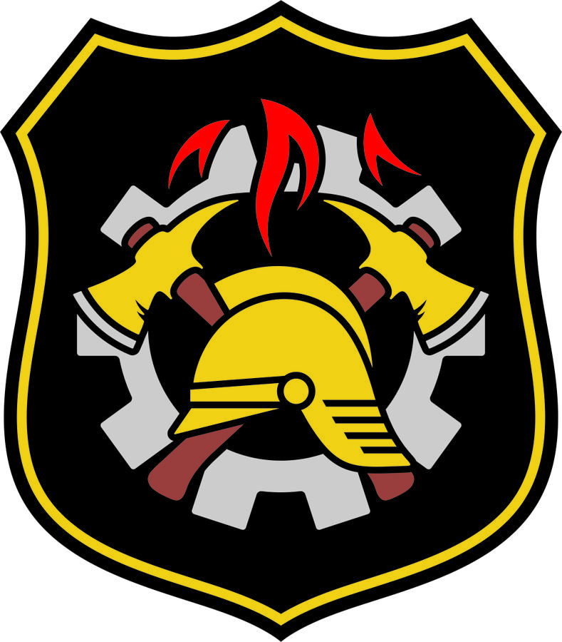 Logo WSP